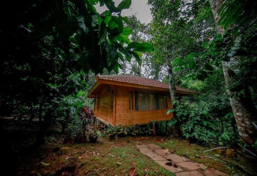 Семейный Номер, Bamboo Creek Resort