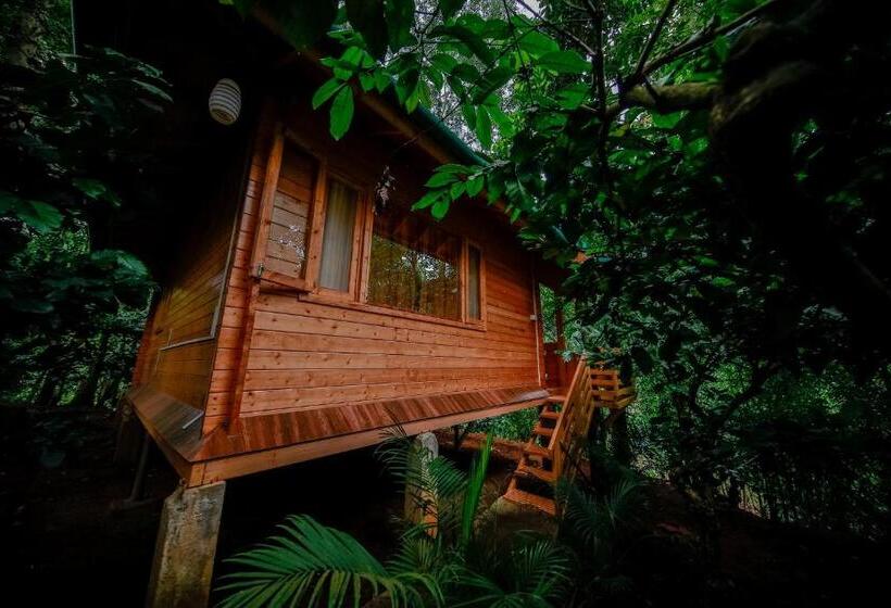 Семейный Номер, Bamboo Creek Resort