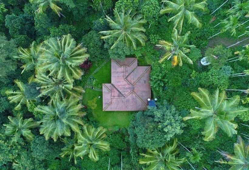 Семейный Номер Вид на Сад, Bamboo Creek Resort