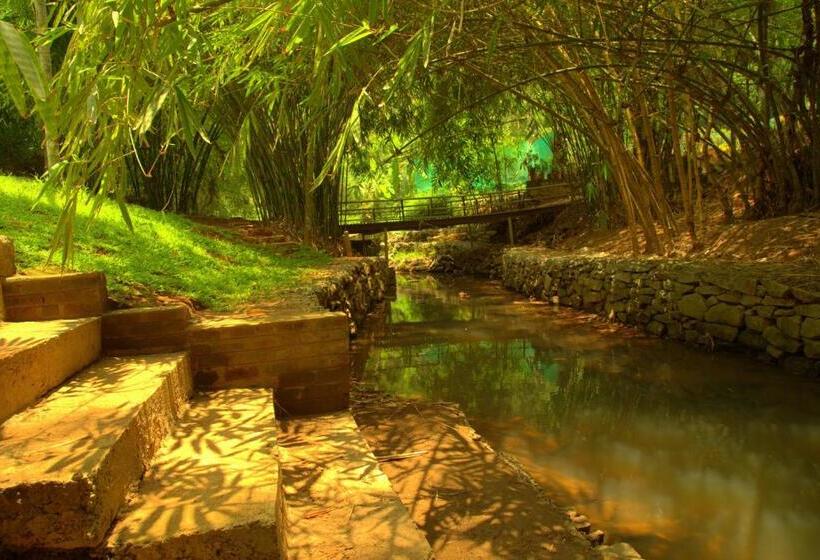 Семейный Номер Deluxe, Bamboo Creek Resort