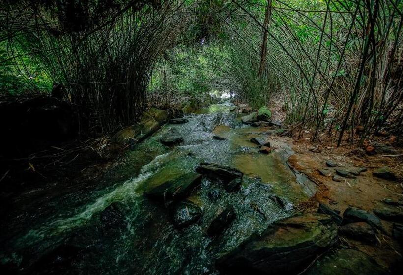 Семейный Номер Deluxe, Bamboo Creek Resort