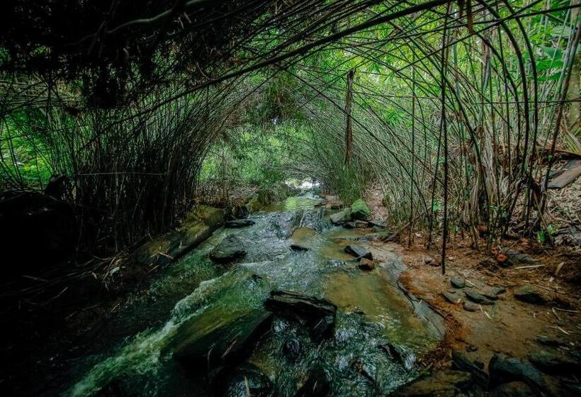 Семейный Номер Deluxe, Bamboo Creek Resort