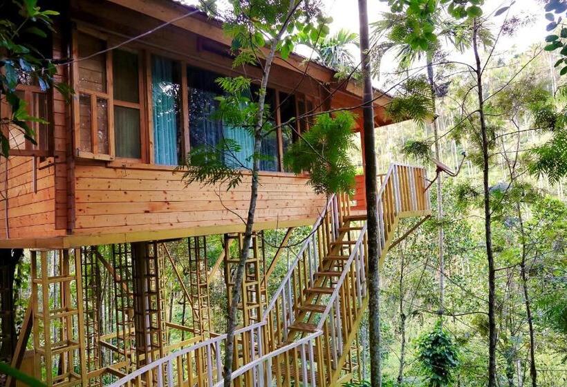 带大床的标准间, Bamboo Creek Resort