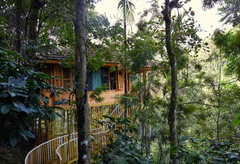 带大床的标准间, Bamboo Creek Resort