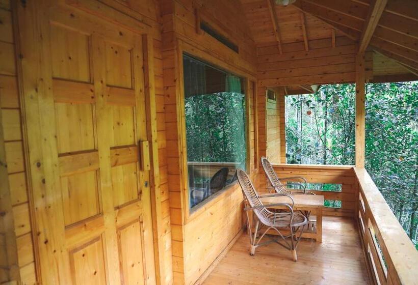 Стандартный Номер Кровать Кинг, Bamboo Creek Resort