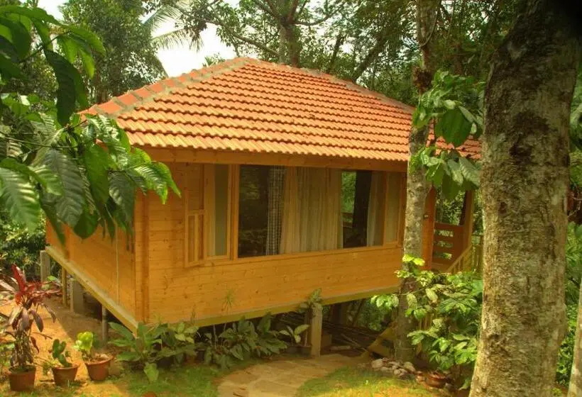 ファミリールーム, Bamboo Creek Resort