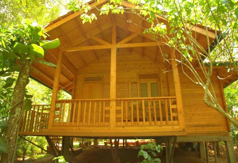 Семейный Номер, Bamboo Creek Resort