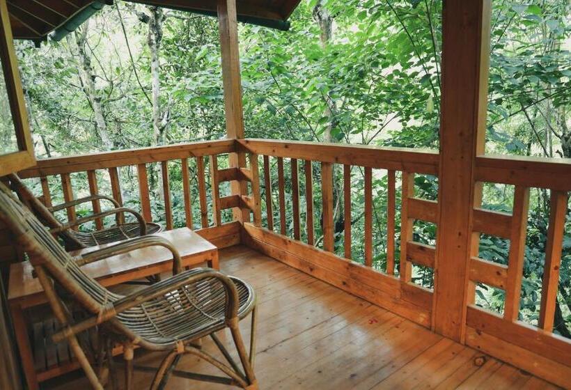 Семейный Номер, Bamboo Creek Resort