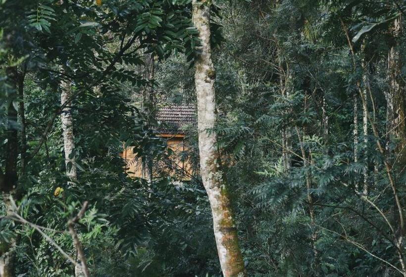 家庭间, Bamboo Creek Resort