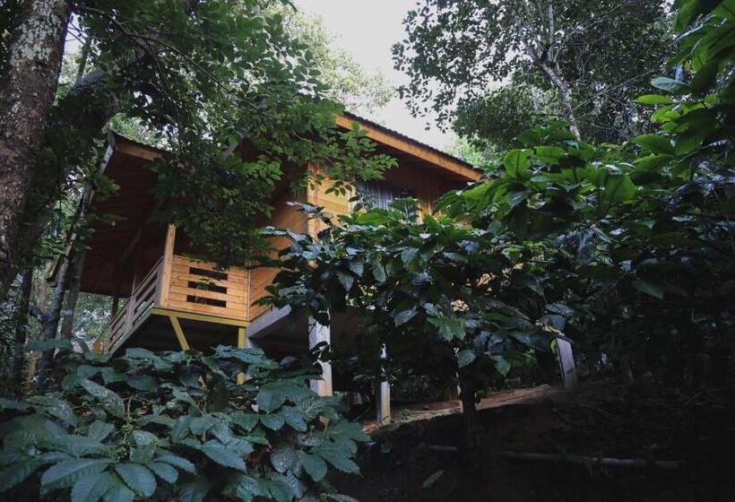 Семейный Номер, Bamboo Creek Resort