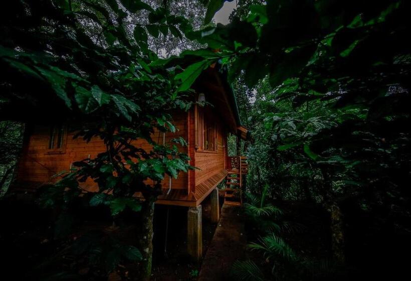 家庭间, Bamboo Creek Resort