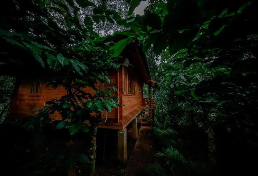 ファミリールーム, Bamboo Creek Resort