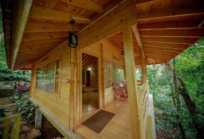 家庭间, Bamboo Creek Resort