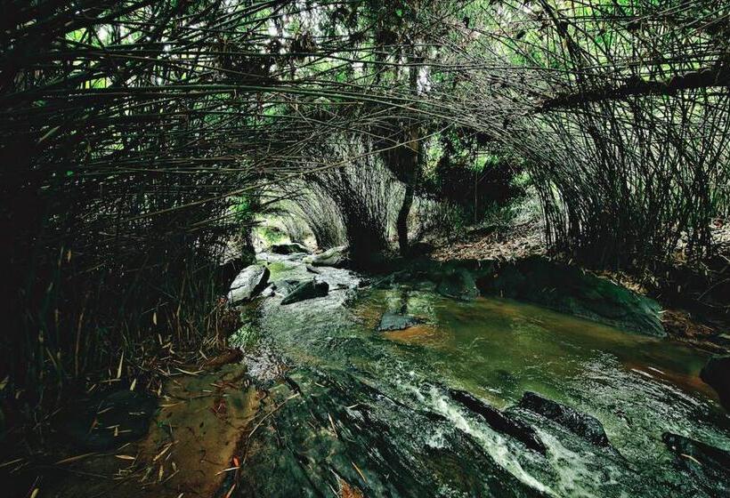 Семейный Номер Deluxe, Bamboo Creek Resort