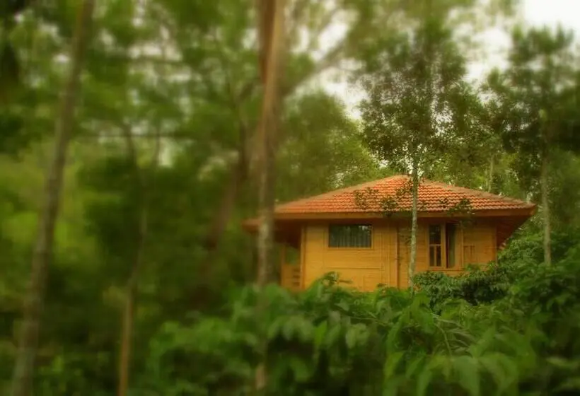 キングサイズベッドのスタンダードルーム, Bamboo Creek Resort