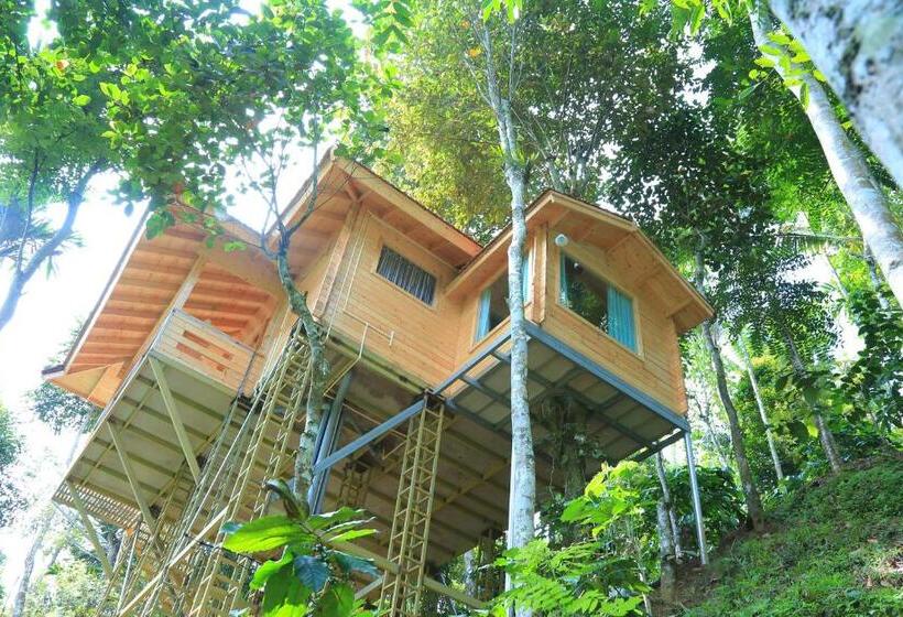 带大床的标准间, Bamboo Creek Resort