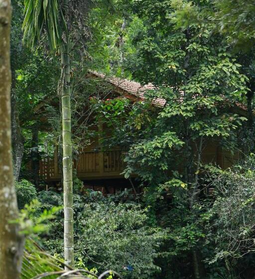 Семейный Номер, Bamboo Creek Resort