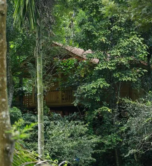 ファミリールーム, Bamboo Creek Resort