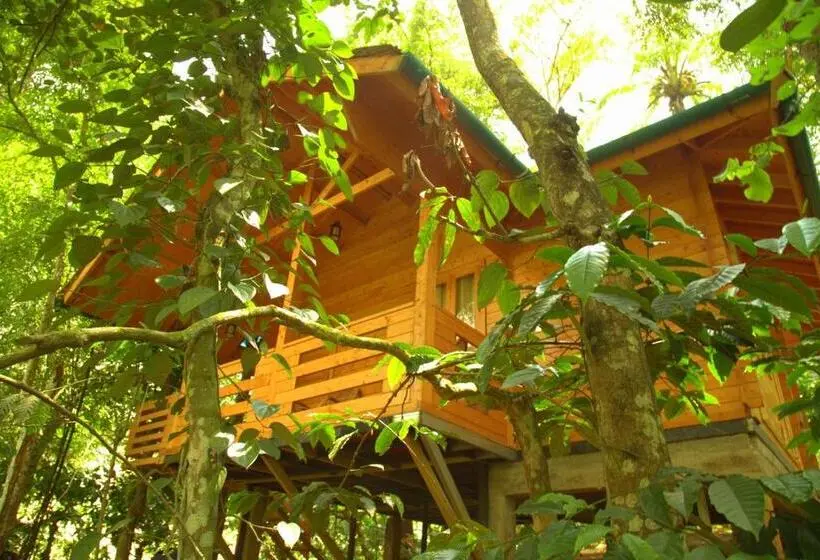 ファミリールーム, Bamboo Creek Resort