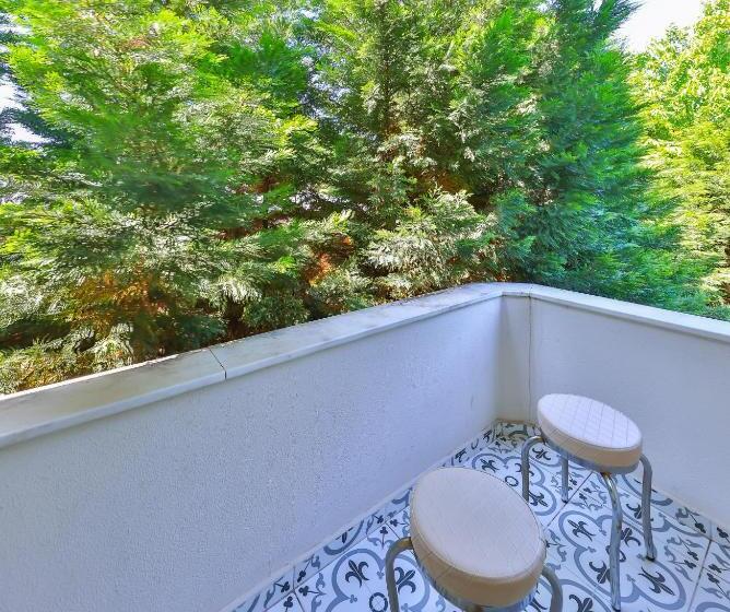 标准间带阳台, Palmada