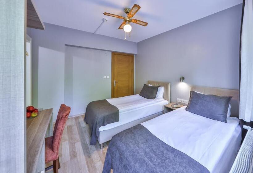 标准间带阳台, Palmada