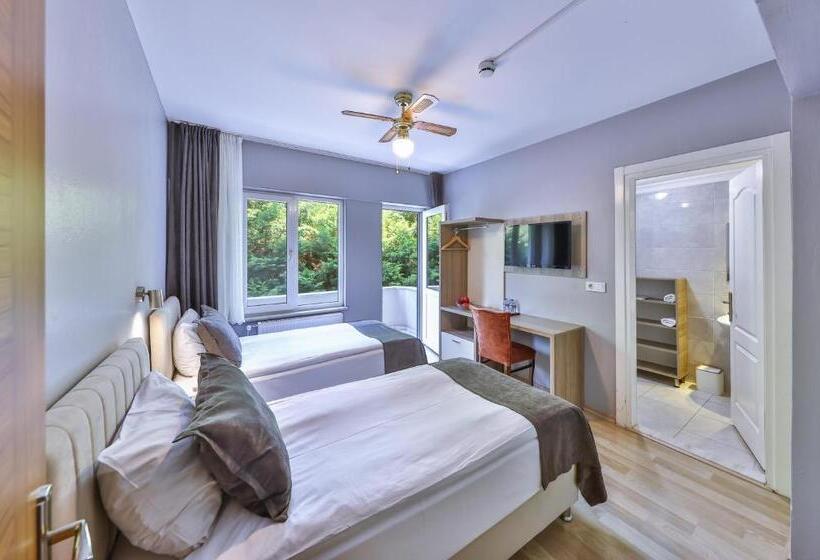 标准间带阳台, Palmada