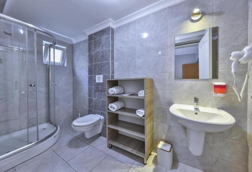 标准间带阳台, Palmada