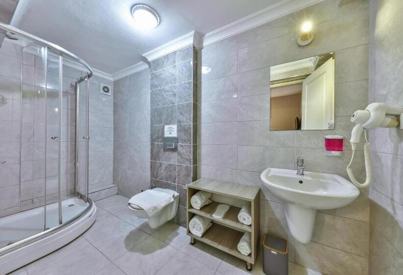 标准间带阳台, Palmada