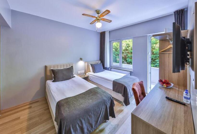 标准间带阳台, Palmada