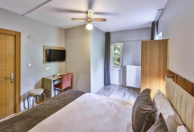 标准间带阳台, Palmada