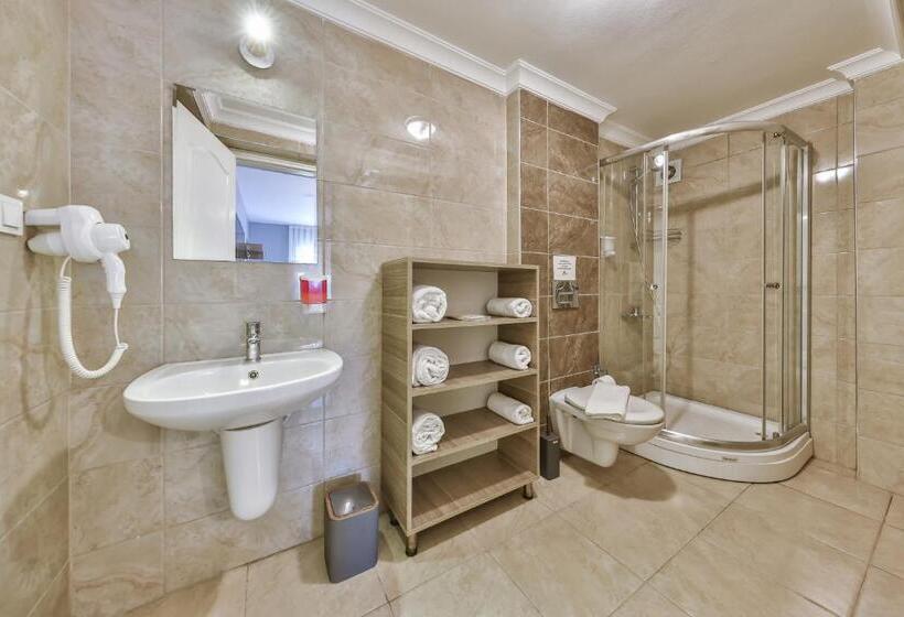 带阳台的三人标准间, Palmada