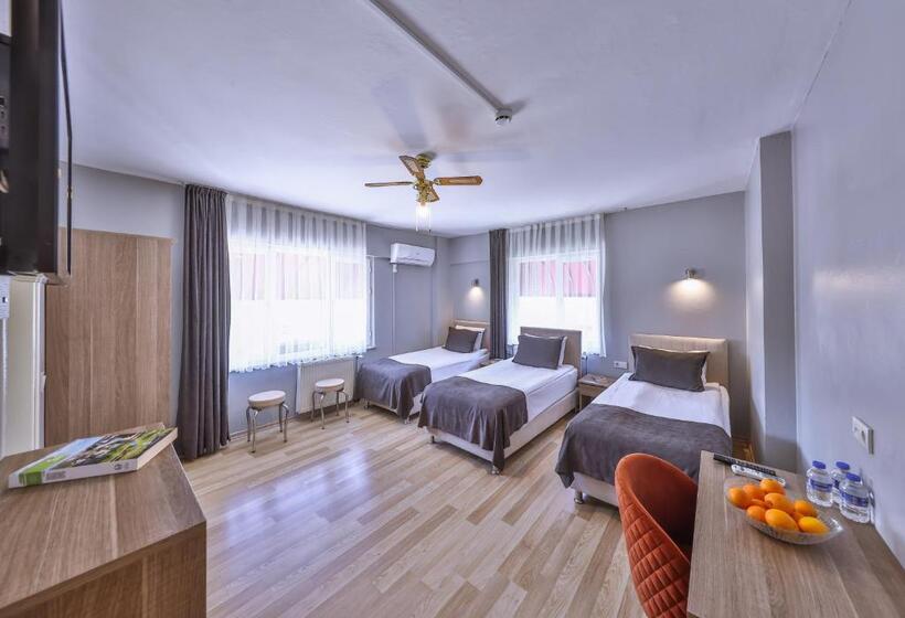 带阳台的三人标准间, Palmada