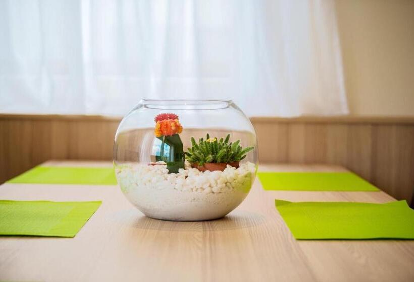 高级家庭房间, Dasmei