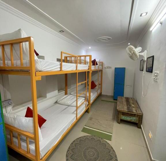 共用房间的床, Jaisalmer Hostel Crowd