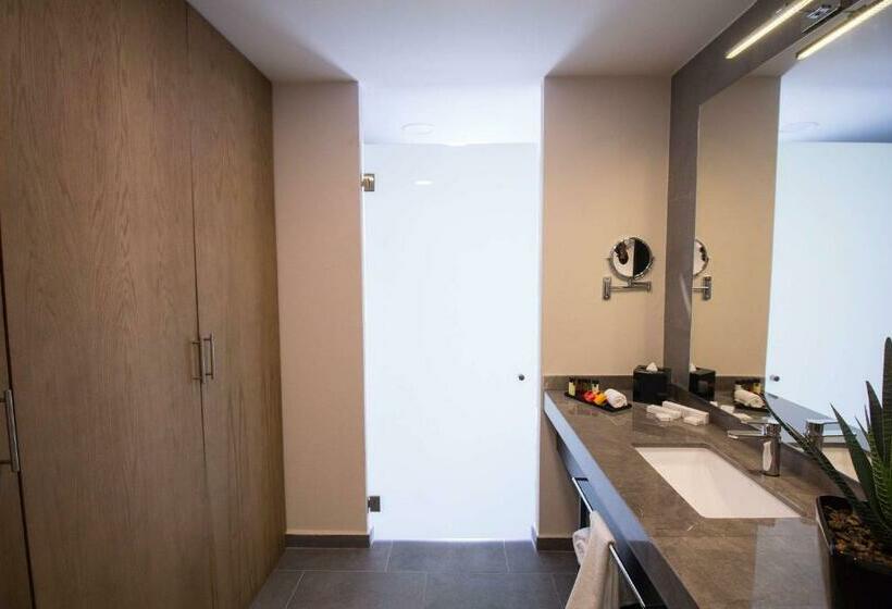 جناح جونيور, Tryp By Wyndham San Luis Potosi Hotel & Suites