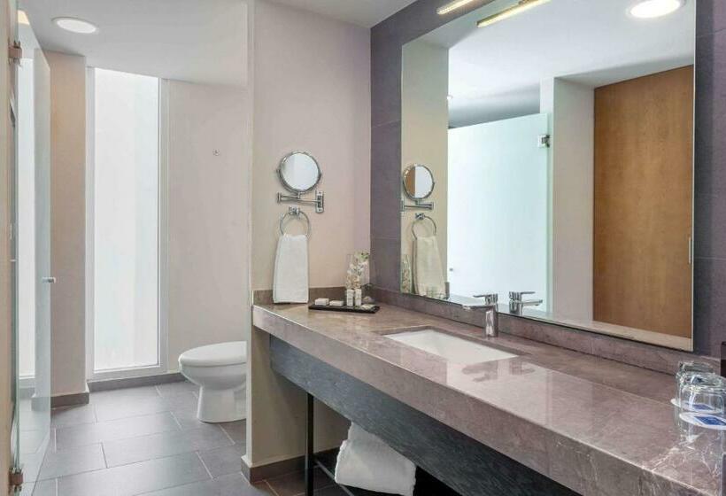 جناح جونيور, Tryp By Wyndham San Luis Potosi Hotel & Suites