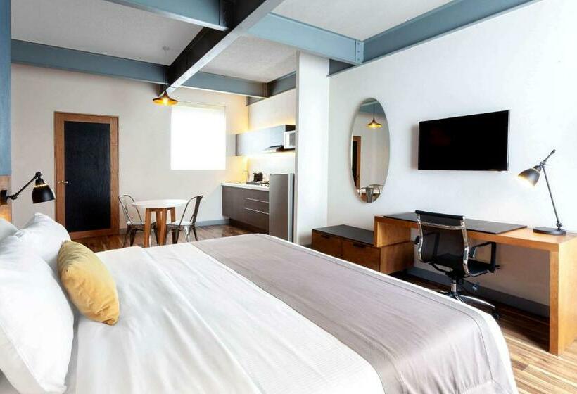 جناح جونيور, Tryp By Wyndham San Luis Potosi Hotel & Suites