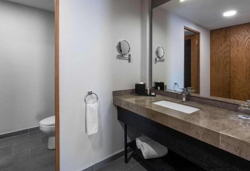 غرفة قياسية سرير كينج, Tryp By Wyndham San Luis Potosi Hotel & Suites