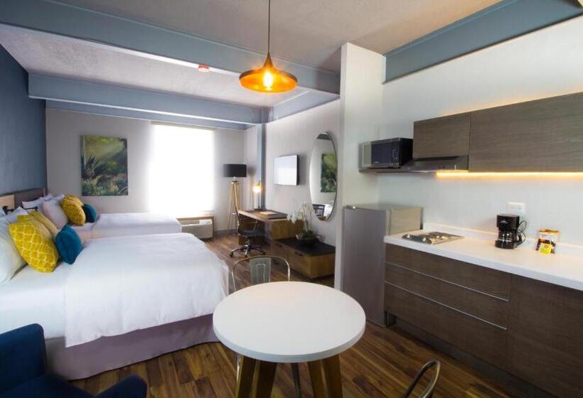 غرفة قياسية, Tryp By Wyndham San Luis Potosi Hotel & Suites