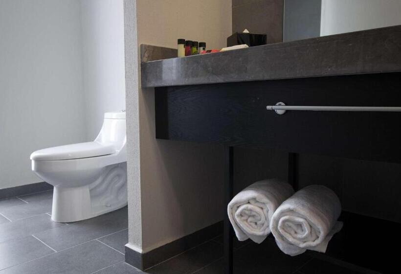 غرفه قياسيه سريرين مزدوجين, Tryp By Wyndham San Luis Potosi Hotel & Suites