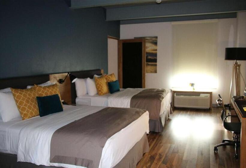 غرفه قياسيه سريرين مزدوجين, Tryp By Wyndham San Luis Potosi Hotel & Suites