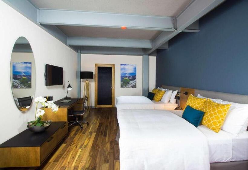 غرفه قياسيه سريرين مزدوجين, Tryp By Wyndham San Luis Potosi Hotel & Suites