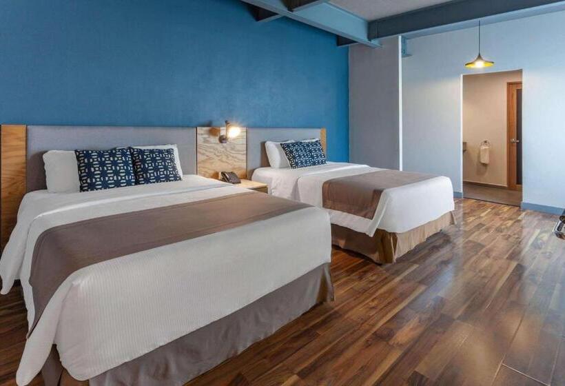 غرفه قياسيه سريرين مزدوجين, Tryp By Wyndham San Luis Potosi Hotel & Suites