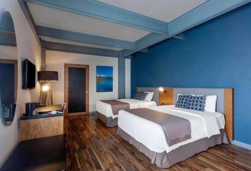 غرفه قياسيه سريرين مزدوجين, Tryp By Wyndham San Luis Potosi Hotel & Suites