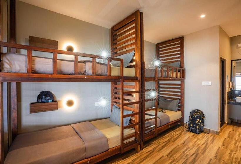 سرير فى غرفة مشتركه, Zostel Gokarna