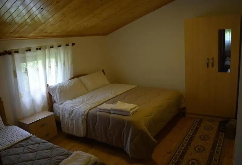 Deluxe Room Mountain View, Peraj Guesthouse