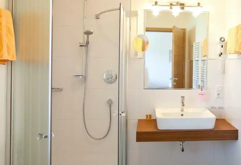 Standard Yhden Hengen Huone, Gasthof Hotel Terzer