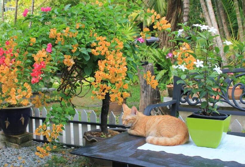 تختخواب در اتاق مشترک, Eat N Sleep