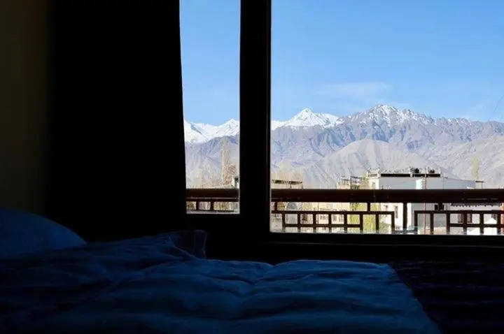 Camera Deluxe, Yarab Tso