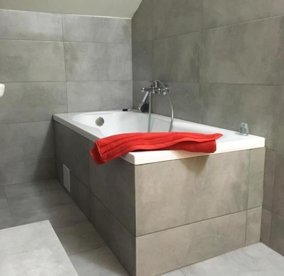 اتاق استاندارد با تخت بزرگ, Net Hotel Pitesti